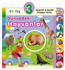 3+ Yaş Dünyadaki Hayvanlar - Kolektif