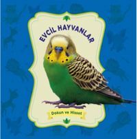 Evcil Hayvanlar / Dokun ve Hisset