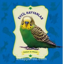 Evcil Hayvanlar / Dokun ve Hisset - Emine Ulusoy