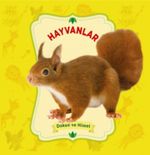 Hayvanlar / Dokun ve Hisset