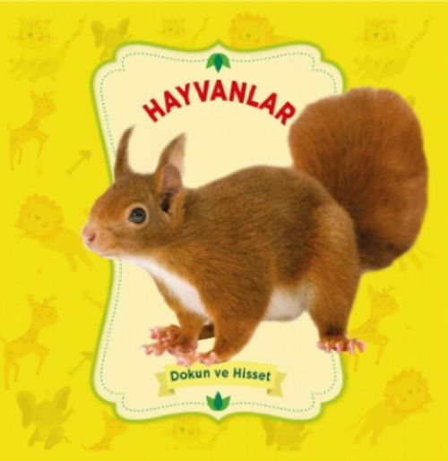 Hayvanlar / Dokun ve Hisset