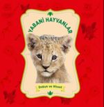 Yabani Hayvanlar / Dokun ve Hisset