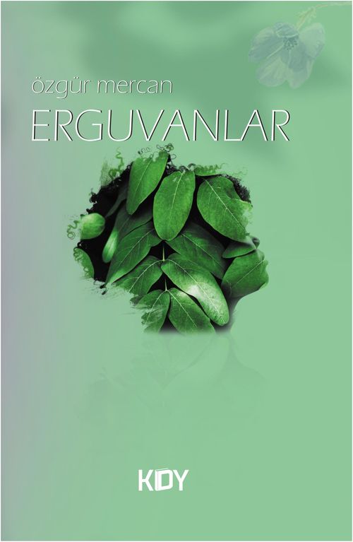 Erguvanlar