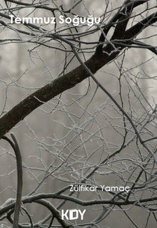Temmuz Soğuğu 