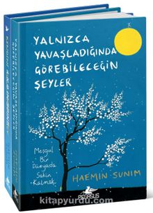 Yalnızca Yavaşladığında Görebileceğin Şeyler - Kendini Kusurlarınla Sev  (Ciltli 2 Kitap Set Midiboy) - Haemin Sunim