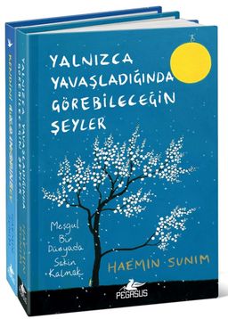 Yalnızca Yavaşladığında Görebileceğin Şeyler - Kendini Kusurlarınla Sev  (Ciltli 2 Kitap Set Midiboy)