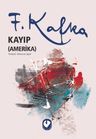 Kayıp (Amerika)