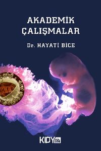 Akademik Çalışmalar