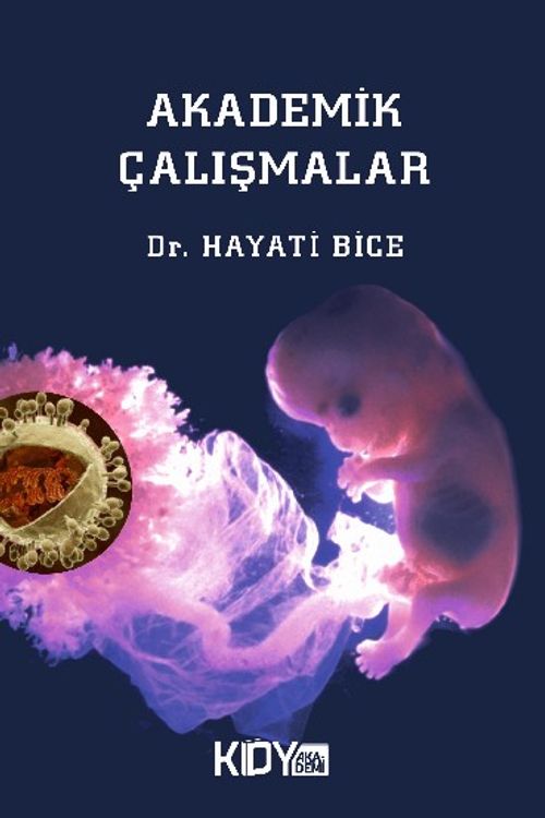 Akademik Çalışmalar