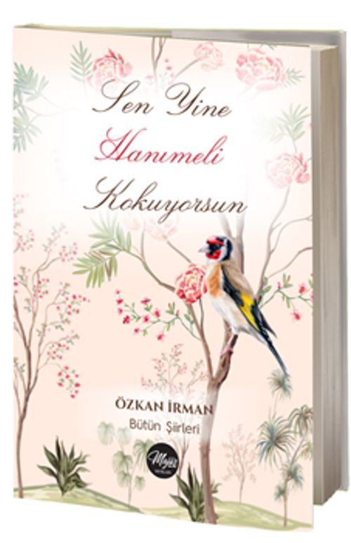 Sen Yine Hanımeli Kokuyorsun