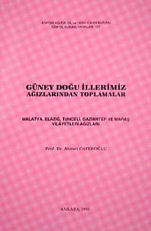 Güneydoğu İllerimiz Ağızlardan Toplamalar