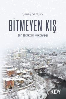 Bitmeyen Kış - Şenay Şentürk