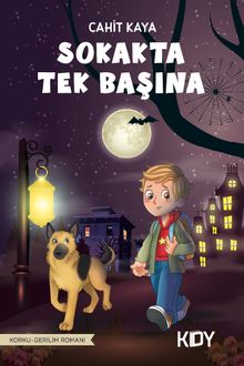 Sokakta Tek Başına