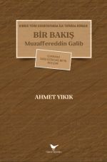 Kıbrıs Türk Edebiyatında İlk Tefrika Roman: Bir Bakış