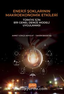 Enerji Şoklarının Makroekonomik Etkileri: Türkiye İçin Bir Genel Denge Modeli Uygulaması - Tahsin Bakırtaş