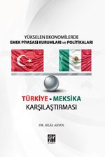 Yükselen Ekonomilerde Emek Piyasası Kurumları ve Politikaları 