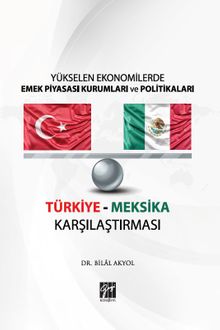 Yükselen Ekonomilerde Emek Piyasası Kurumları ve Politikaları 