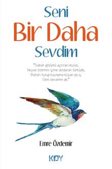 Seni Bir Daha Sevdim - Emre Özdemir