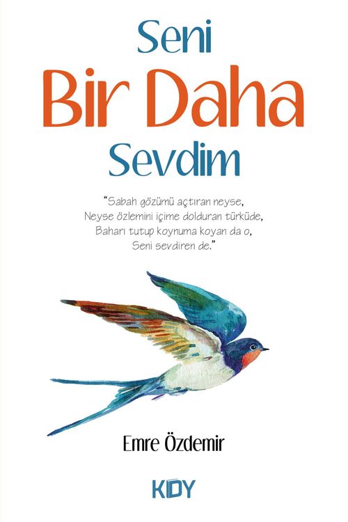 Seni Bir Daha Sevdim