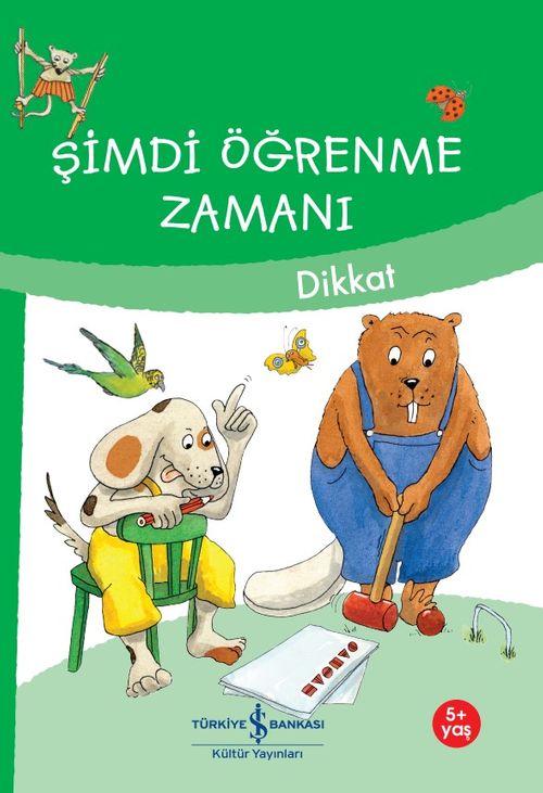 Şimdi Öğrenme Zamanı / Dikkat
