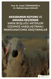 Akkaraman Koyunu ve Ankara Ke&ccedil;isinde Karın Boşluğu Arterleri &Uuml;zerinde Karşılaştırmalı Makroanatomik Araştırmalar