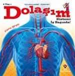 Dolaşım Sistemi İş Başında! - Vücudumuzdaki Sistemler