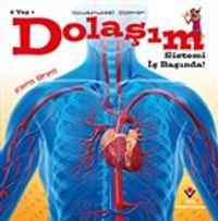 Dolaşım Sistemi İş Başında! - Vücudumuzdaki Sistemler