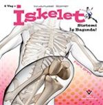 İskelet Sistemi İş Başında! - Vücudumuzdaki Sistemler