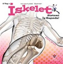İskelet Sistemi İş Başında! - Vücudumuzdaki Sistemler