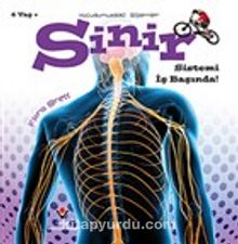 Sinir Sistemi İş Başında! - Vücudumuzdaki Sistemler - Flora Brett