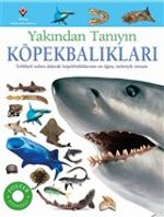 Köpekbalıkları - Yakından Tanıyın