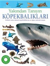 Köpekbalıkları - Yakından Tanıyın