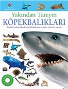 Köpekbalıkları - Yakından Tanıyın - Miranda McQuitty