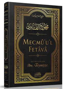 Mecmûu'l-Fetava (13. Cilt)