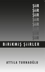 Birikmiş Şiirler