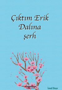 Çıktım Erik Dalına & Şerh