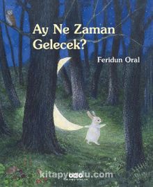 Ay Ne Zaman Gelecek? (Karton Kapak) - Feridun Oral
