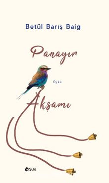 Panayır Akşamı - Betül Barış