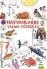 Hayvanların Yaşam Döngüsü