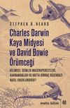 Charles Darwin Kaya Midyesi ve David Bowie &Ouml;r&uuml;mceği