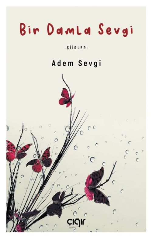 Bir Damla Sevgi & Şiirler
