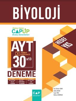 AYT Biyoloji 30x13 Up Deneme