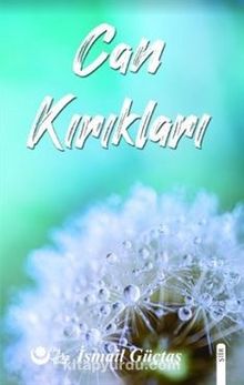 Can Kırıkları - İsmail Güçtas