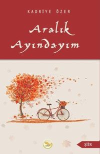Aralık Ayındayım