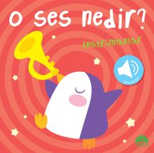 O Ses Nedir? / Enstrümanlar (Sesli Kitap)