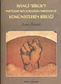 Hangi 'Birlik'? Partileşme Mücadelesinin Neresindeyiz