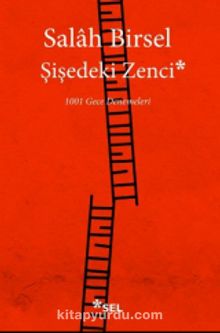 Şişedeki Zenci (1001 Gece Denemeleri) - Salah Birsel