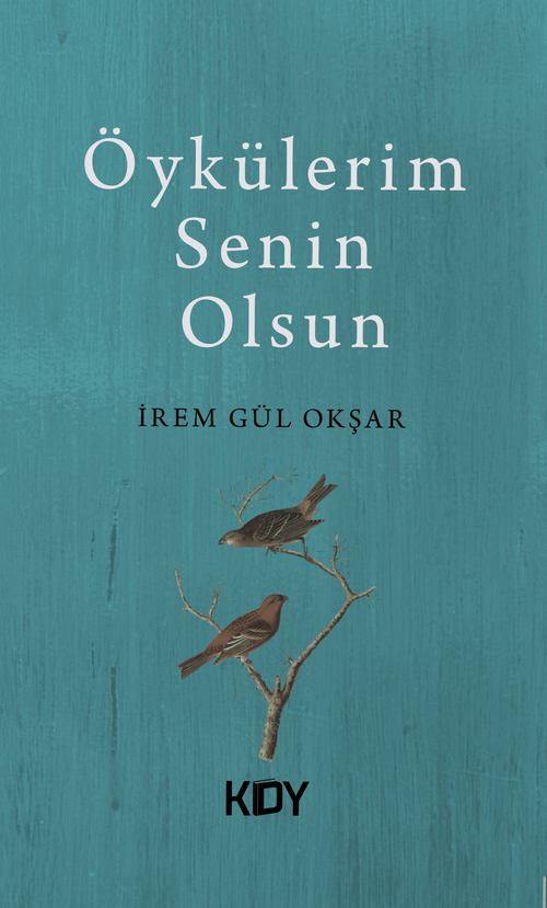 Öykülerim Senin Olsun