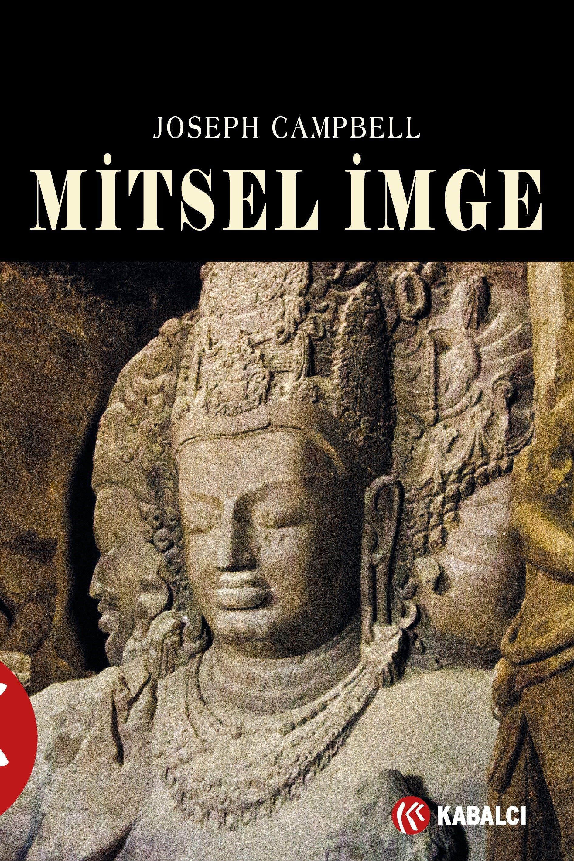 洋書 Mr. Mkhize's portrait &  Mitsel imge (Joseph Campbell) Fiyatı, Yorumları, Satın Al