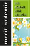 Bir Bahar Gibi Geldin